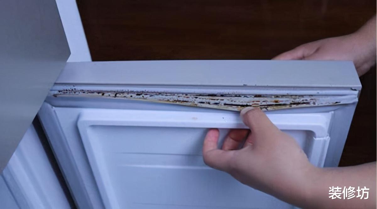 建议：冰箱再大，也别乱塞塑料袋，学学年轻人布置，干净又高级