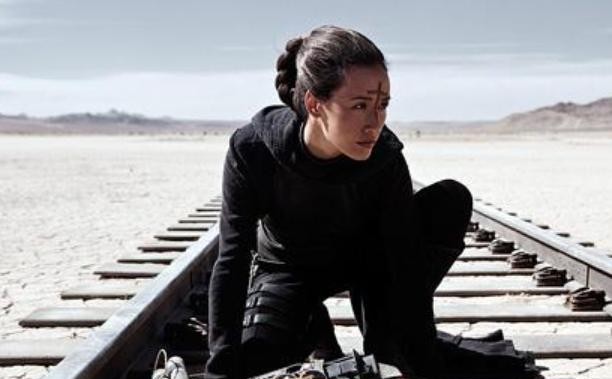 Maggie Q|李美琪个人资料介绍（全香港的梦中情人李美琪）