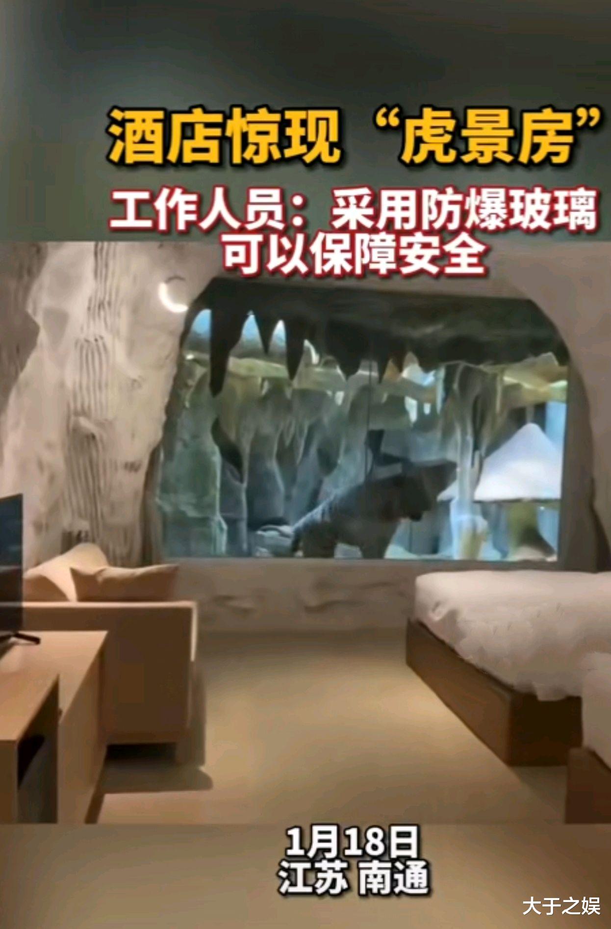 虎景房,老虎盯着你睡觉你敢住吗?