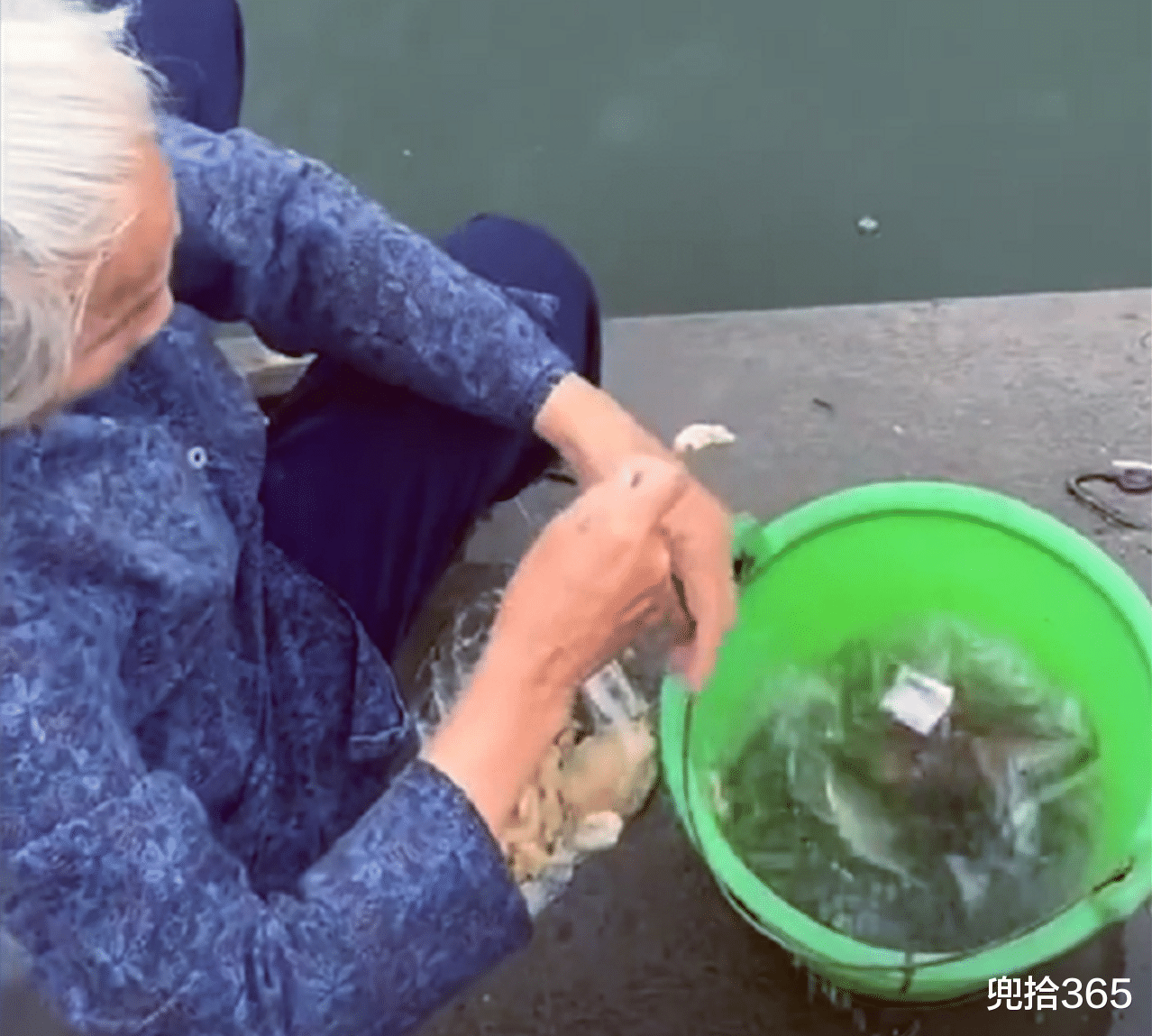 钓鱼|钓鱼界的扫地僧!广东一老奶奶徒手钓鱼,轻轻松松收获小半桶