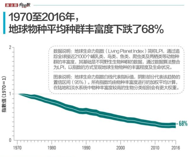 近40年少50%!加拿大北极熊快没了,北极变暖:远古病菌或将来袭