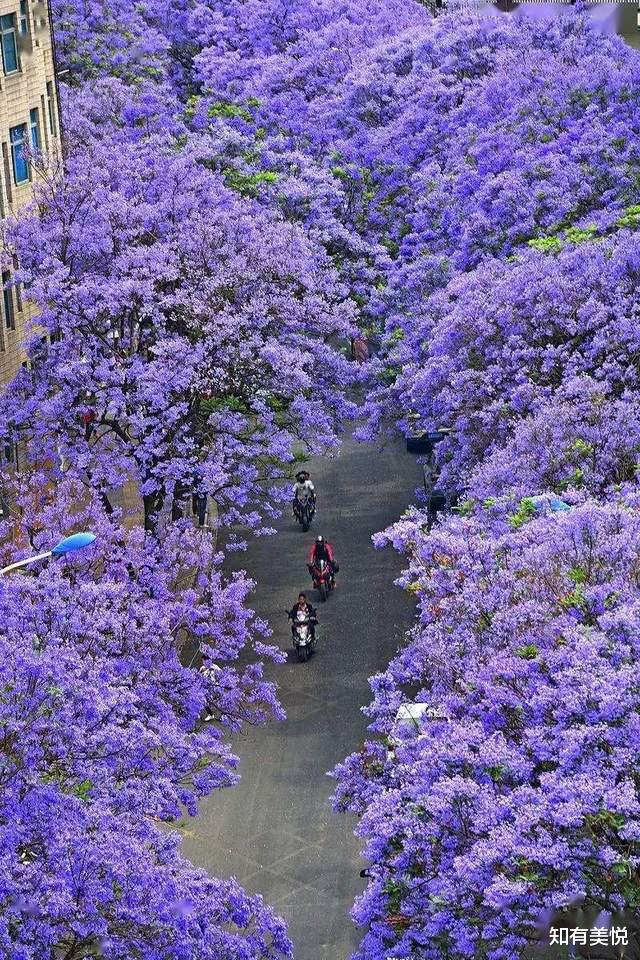 旅游日|8个可以静下心来慢慢感受的城市，适合养老，你最想去哪一个呢？
