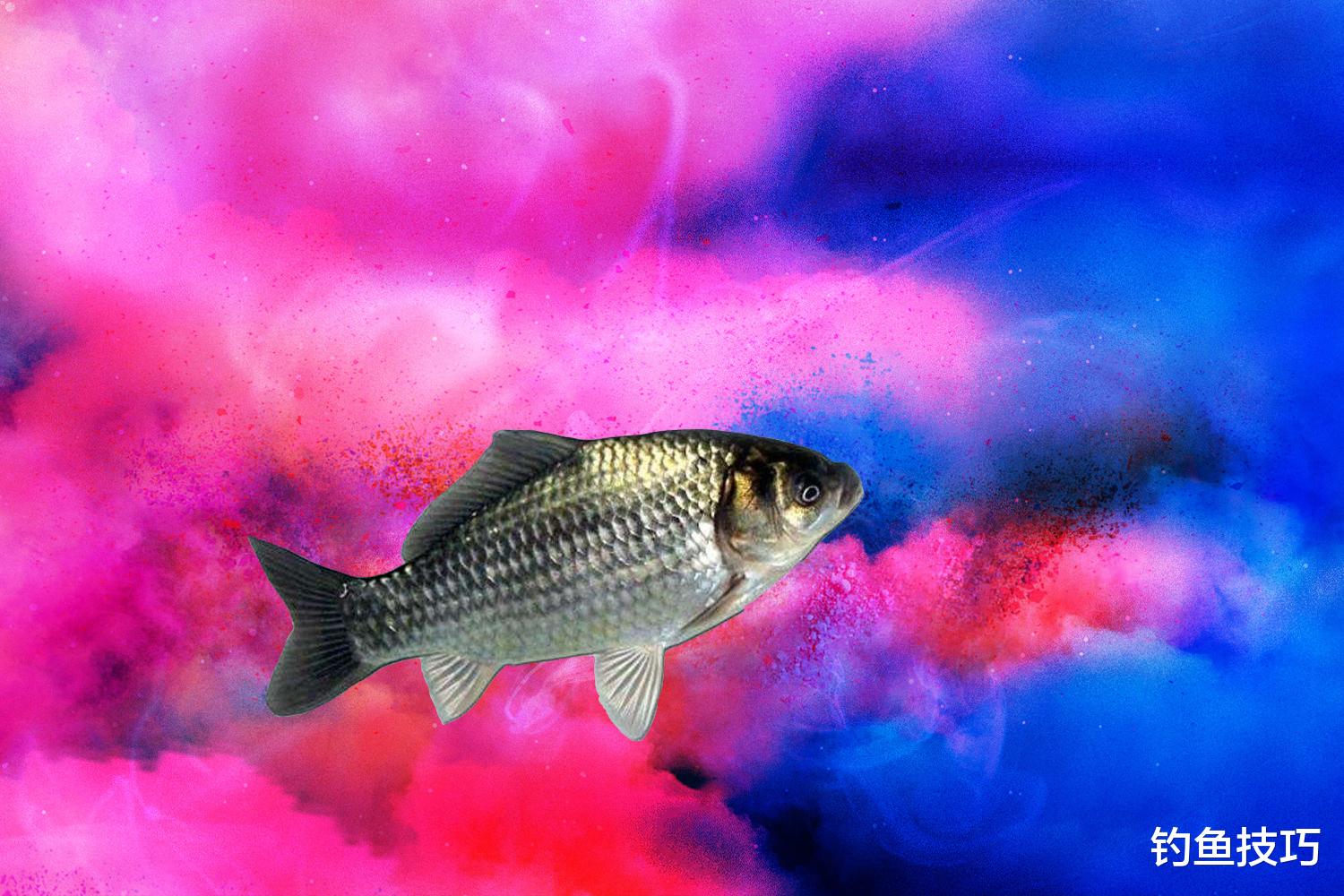 灵敏度|鱼饵的味型有多重要？论鱼饵味型对钓鱼的重要影响