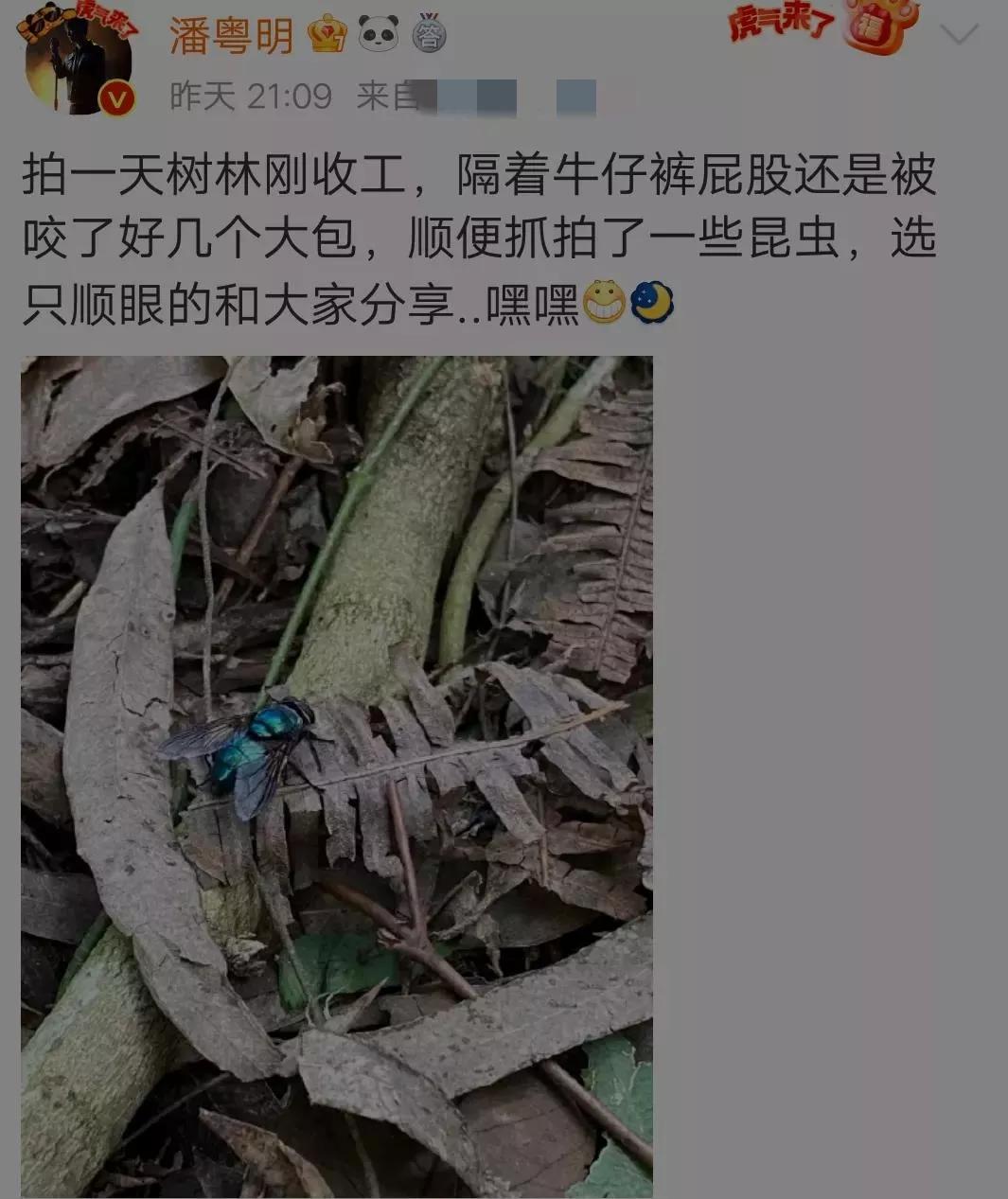 潘粤明|“许仙”潘粤明：臭蚊子隔着牛仔裤咬他的屁股，晒图给网友看大包