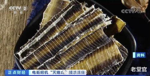 一公斤蚯蚓干能卖300元?蚯蚓做梦也没想到自己能遭到了灭绝式捕杀