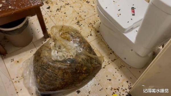 吓人!厕所吊顶里竟掏出巨大的...竟有160斤