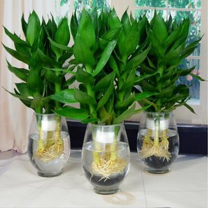 深圳风水大师耶朗：势如破竹开运法