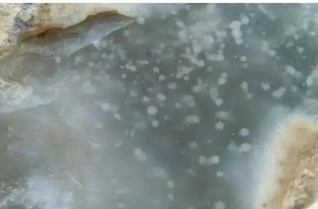 翡翠|还在看那些不靠谱的鉴定方法？掌握这几点，秒变翡翠行家！