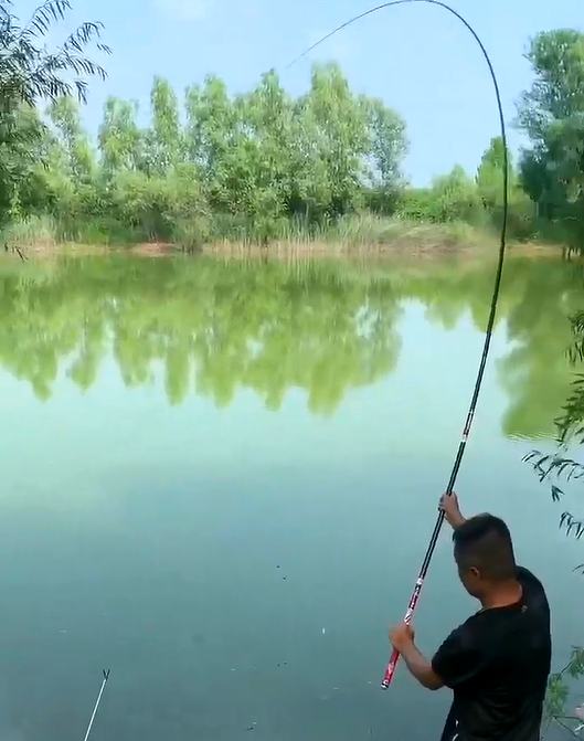 鲢鳙|抽鲢鳙选竿小技巧,综合鱼情选择鱼竿,趁手的才是好钓竿