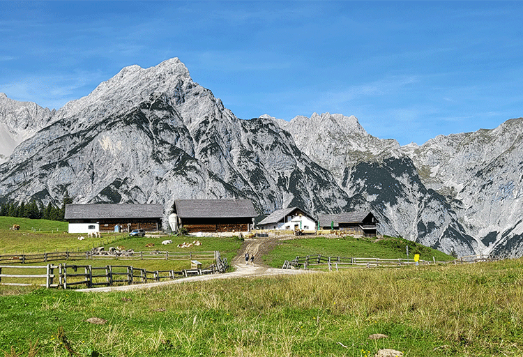 |人生七场戏,演好你自己(精辟)