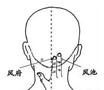 心脏病|头发掉不停？来跟中医学习这五招，助你“守住”发际线~