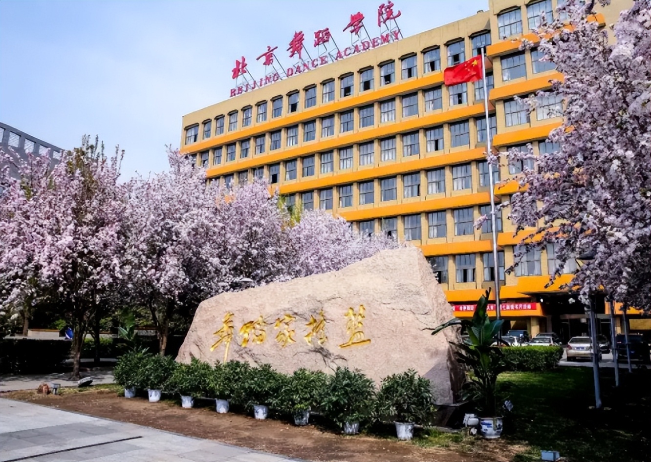 杨丽萍|46岁巨婴郭冷:除了跳舞,连连衣服都不会洗的人,年入百万却无人敢嫁