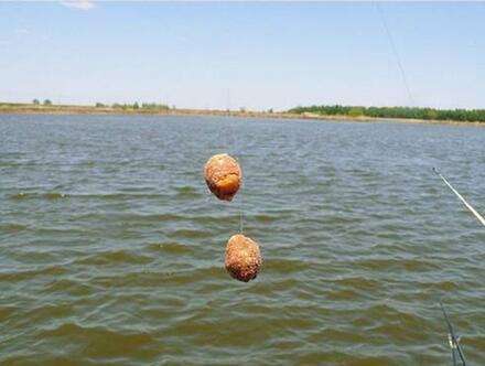 饵料|小杂鱼闹窝不胜其烦,矫枉过正得不偿失,教你一个正确的应对方法