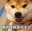 彭昱畅|他才是内娱顶级资源咖?