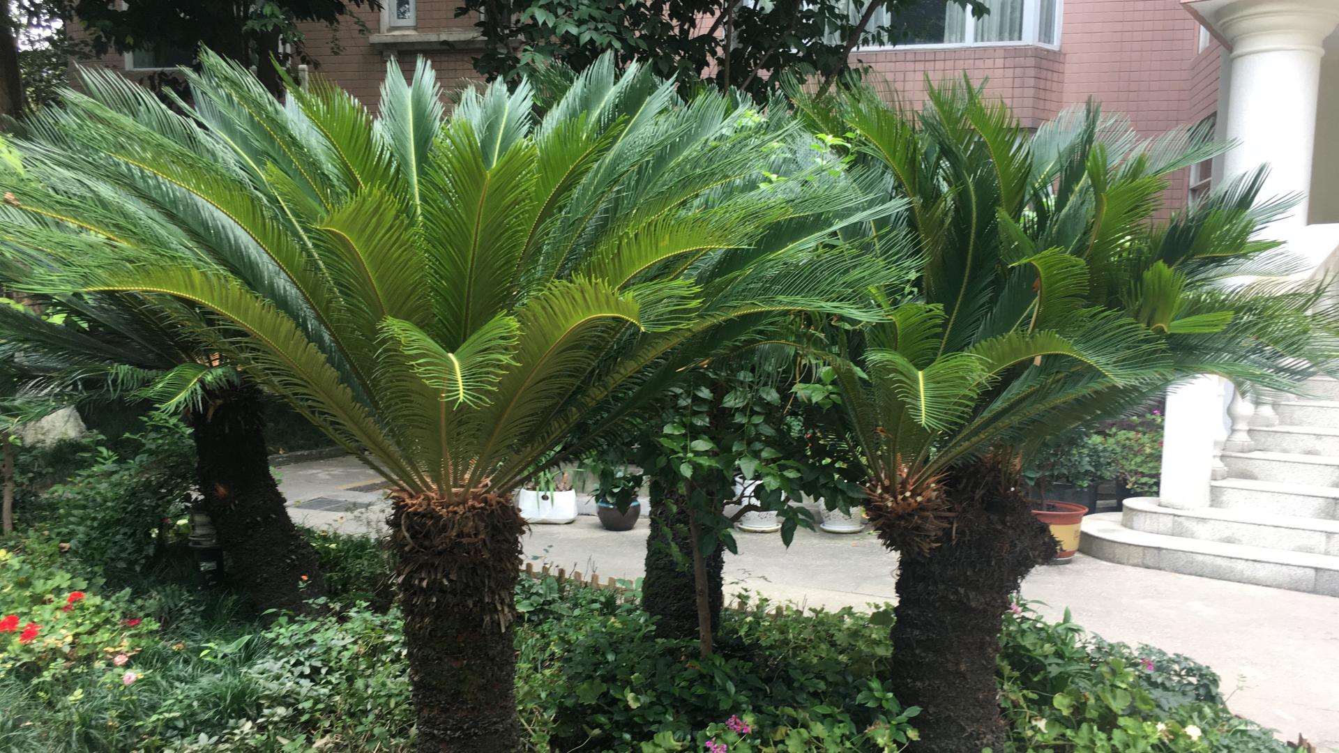 化合价规则及其应用