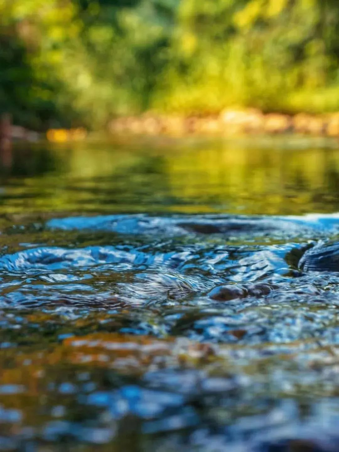 桂林|广西最被低估的小城，山水堪比桂林，宁静宛如桃源，夏日仅25℃，冷门到无人知！