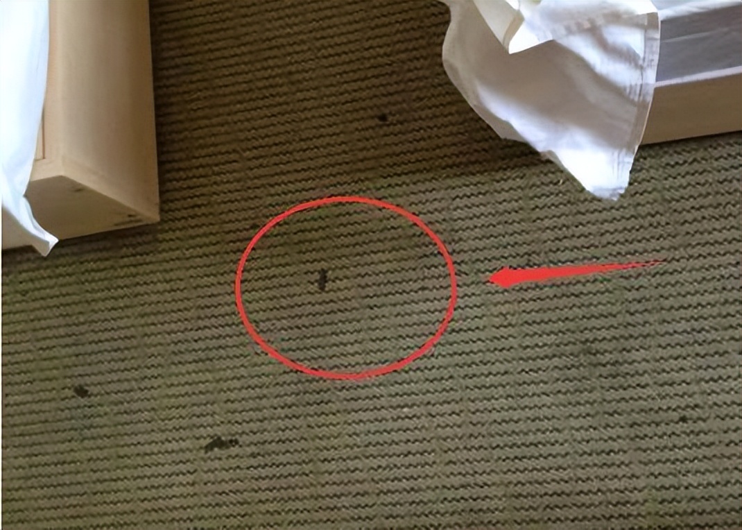 新房装修别犯浑乱装!这11个装修惨项,个个为生活制造麻烦添堵