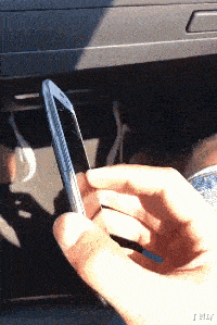 龙鱼|“钓鱼被咬了，不过钓到了一条招财龙鱼，不亏...”评论沸腾了