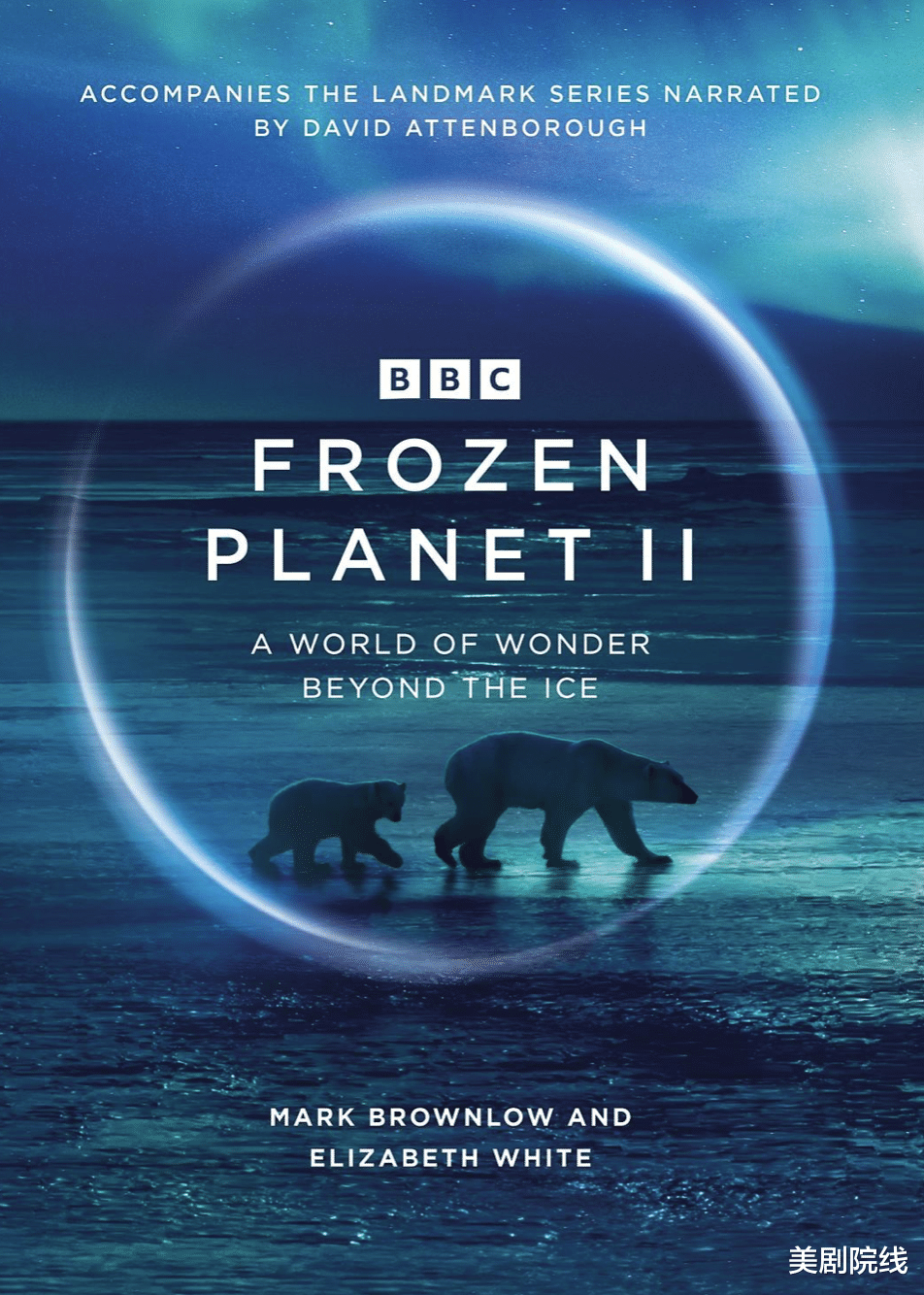 豆瓣|推荐五部近期最佳剧集，全值得保存到你的硬盘里