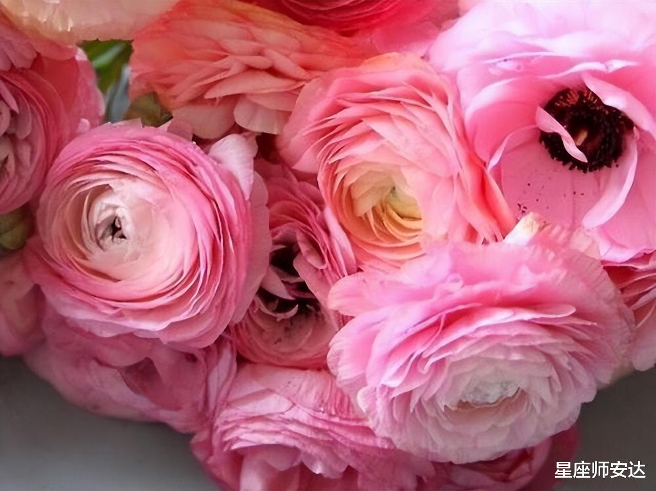 天秤座|善良温柔，不争不抢的星座，但他们很清醒，谦卑但不会卑微