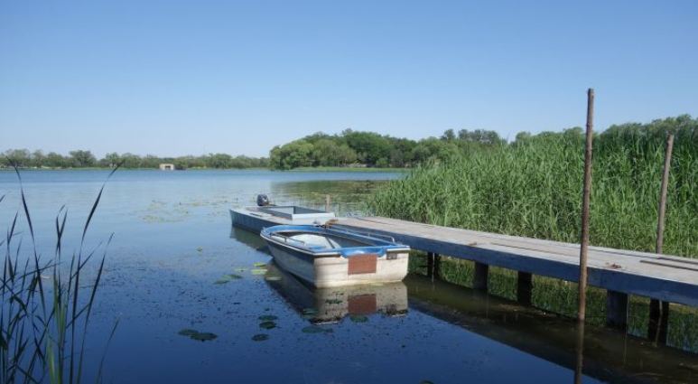 芯片|手机摄影“扫盲级”科普，藏在生活里的拍照玄学，从读懂芯片开始