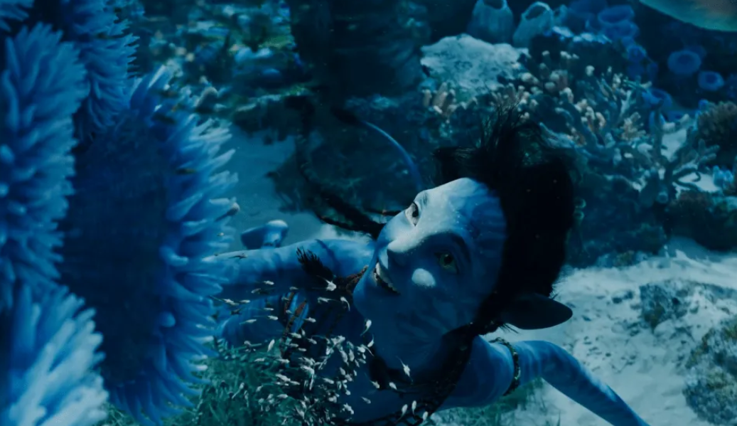 阿凡达2|阿凡达2票房惨淡，流浪地球2欲拿40亿票房，有个关键问题要解决