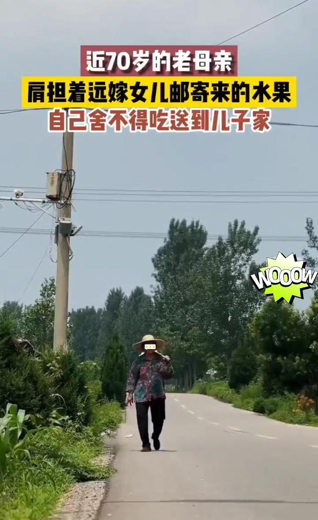 回顾七旬老人肩挑女儿邮寄的水果,她舍不得吃,顶着烈日送儿子家