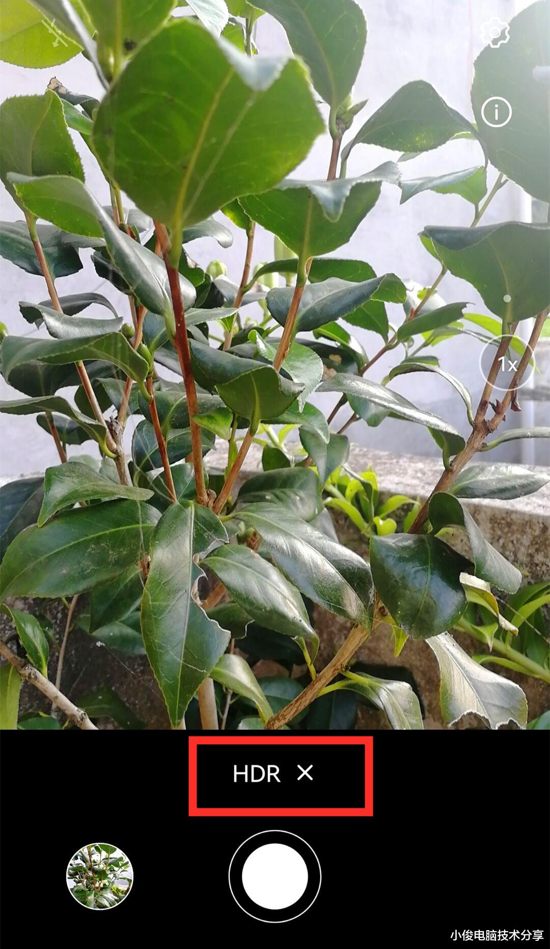 相机|手机拍照时，记得打开这个小机关，拍出来的照片清晰又好看