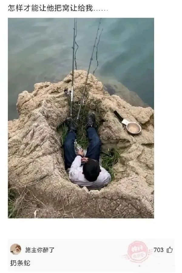 这阳台的风景真好看啊