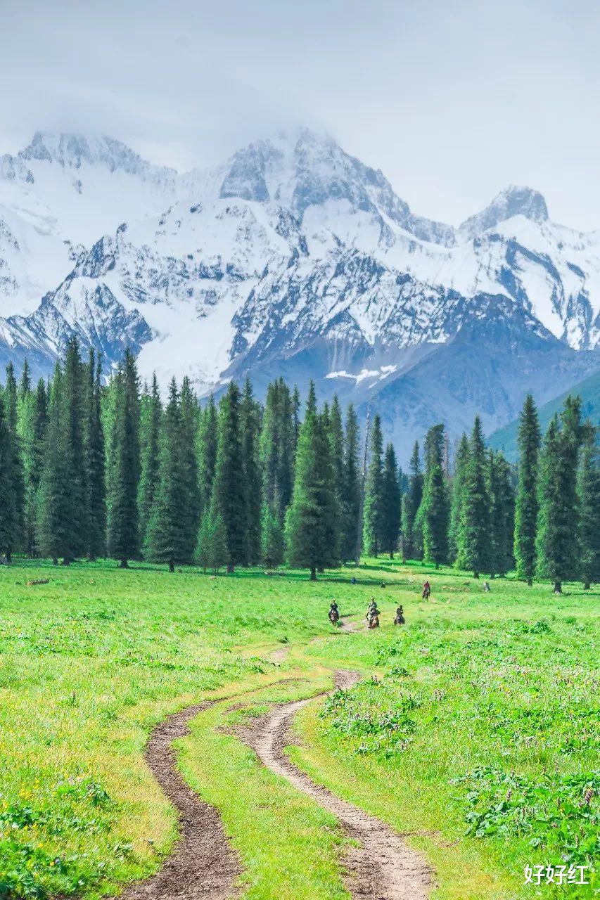 草原|私藏“中国最美公路”，一年仅开放5个月！这里的夏日，一次看遍草原雪山湖泊！