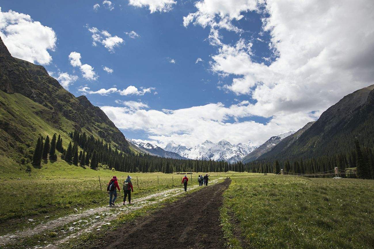 茶园|昭苏县夏特景区出发去徒步夏特古道精华段攻略