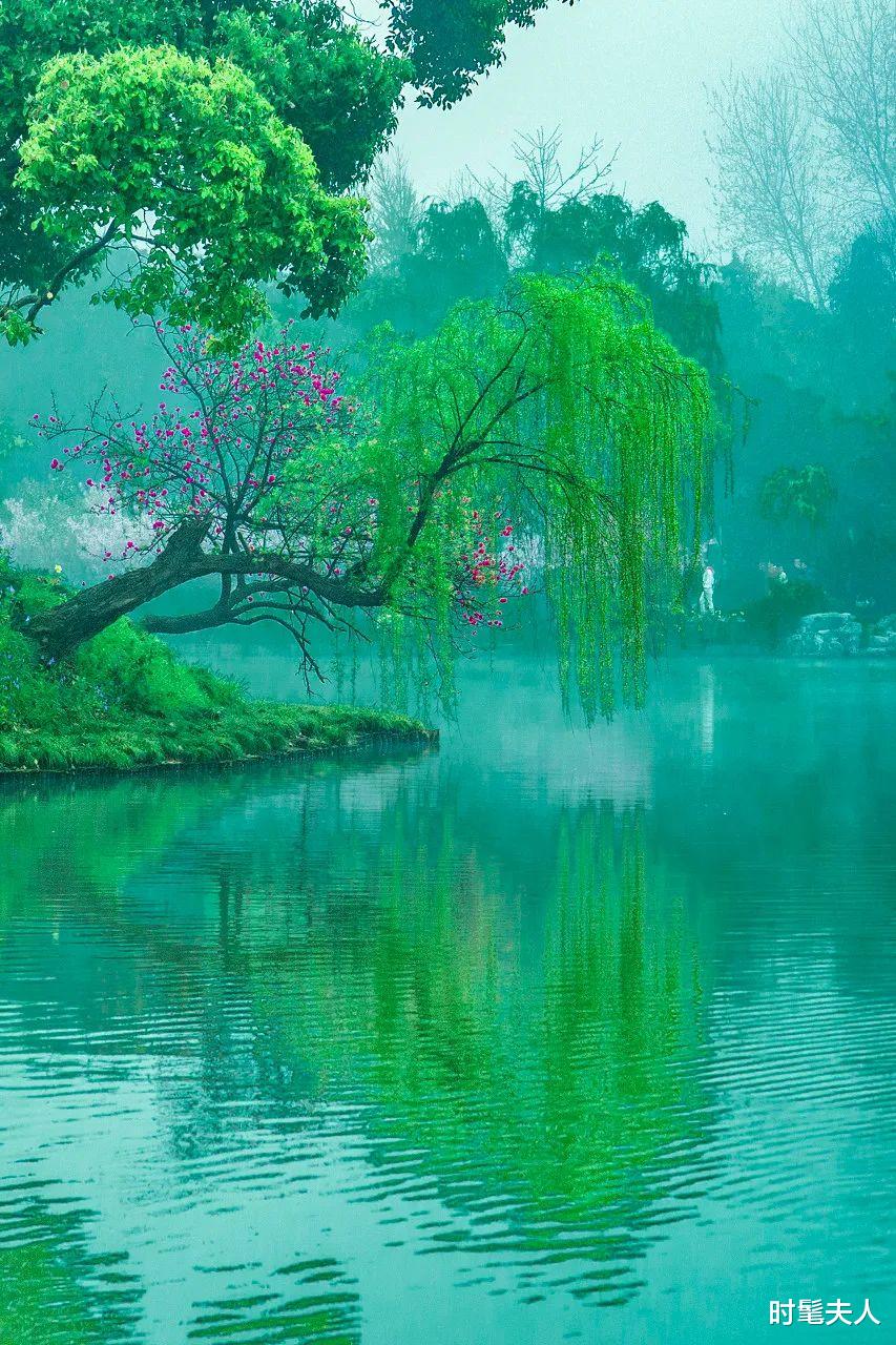园林|被评为世界No.1，中国最安逸的城市，它排第二，没谁敢称第一