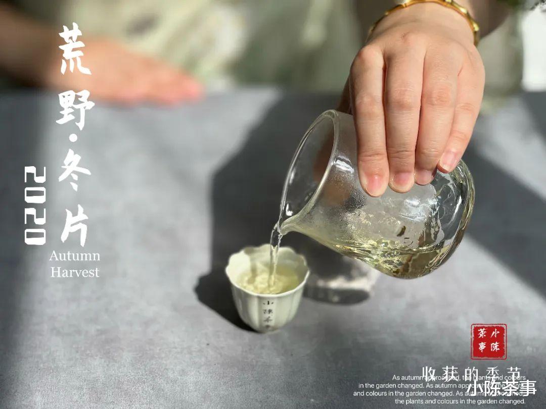 碱性食物|喝茶需要很专业吗？普通茶客喝茶，到底需要了解哪些干货？