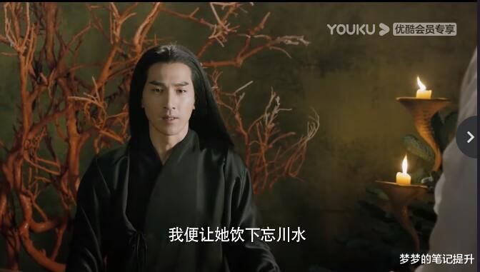 素素|三生三世十里桃花，夜华对素素可能是短择