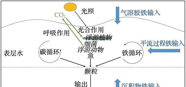 2300万年的树叶被发现,科学家研究后担忧:人类未来并不好过