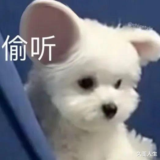 明星素颜 十级美颜加滤镜 但我和素颜和解了