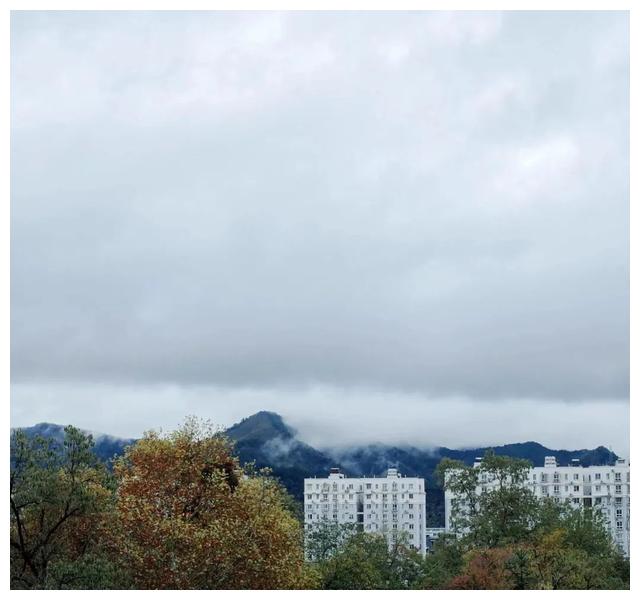 许久不见，这位金马影后有了另一个身份