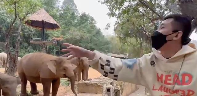 尚九熙|德云社尚九熙深夜发布视频,评论区画风却跑偏,网友:终于营业了