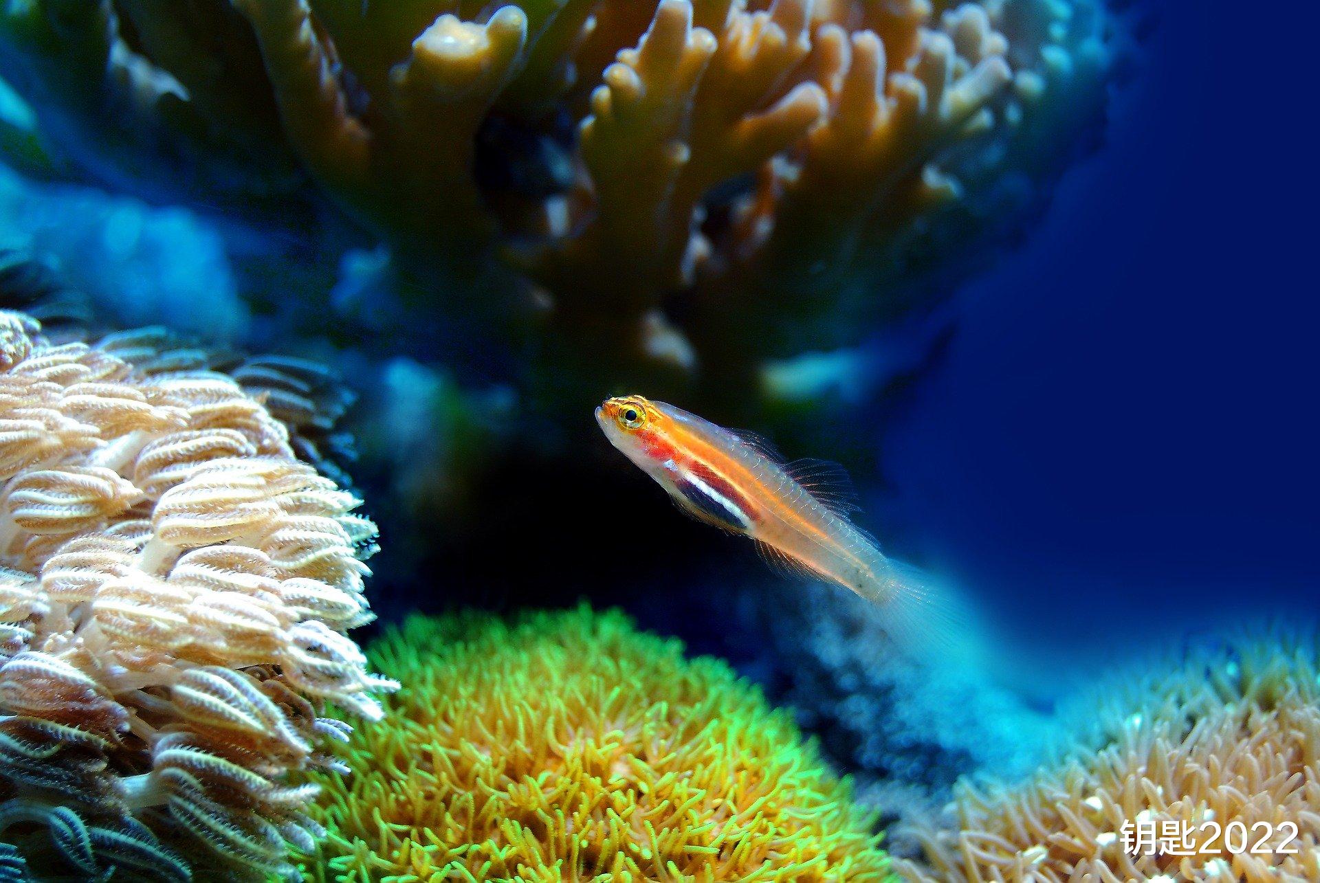 招聘|大公司怎么了？大公司照样不付钱