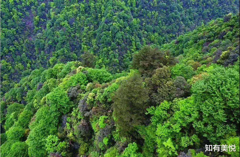 旅行|盛夏旅行季，10个最美旅行地，一起出发，你就是旅途中最美的风景