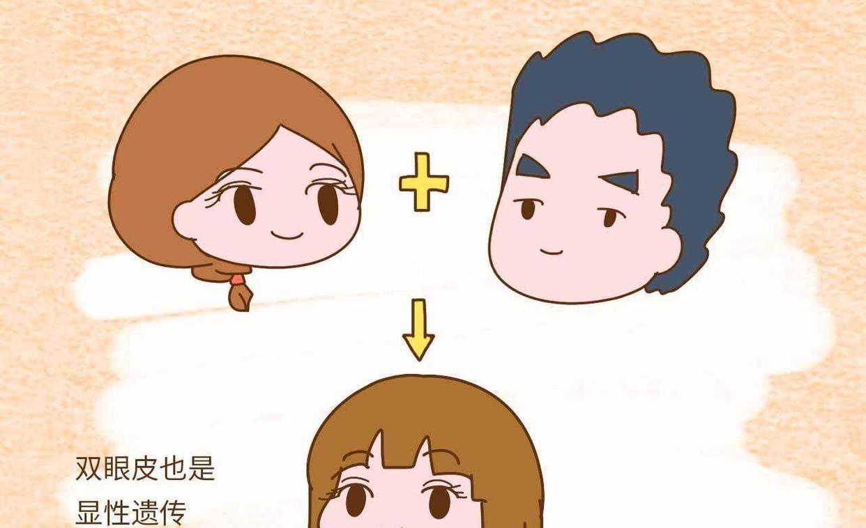 夫妻之间,哪一方的基因最终能够决定孩子的智商以及长相?