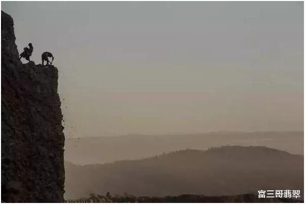 翡翠|缅甸的翡翠场区，被称为冒险家的“乐园”和“坟地”