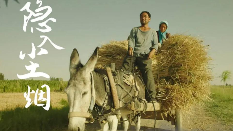 海清|《隐入尘烟》票房过亿，唯一明星海清零片酬，黄磊却是大功臣