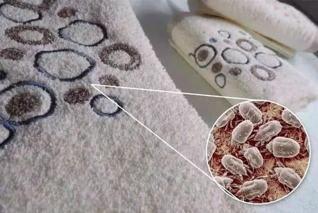 家里这几样东西就是“落后的代表”,别不信,多数家庭都有!