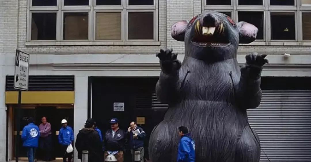 纽约|美国纽约老鼠泛滥,120万元招聘灭鼠总管!美国为啥会老鼠泛滥?