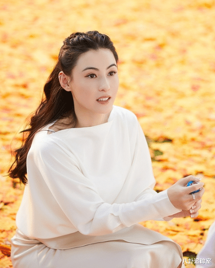 谢霆锋|真分了?曝谢霆锋分手后,公开感激张柏芝,王菲被访:关我什么事