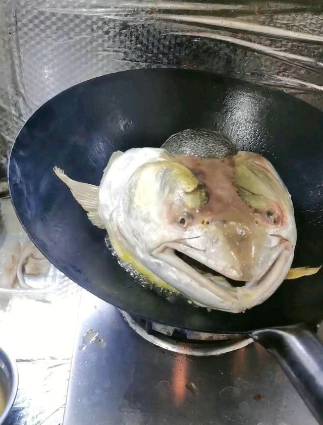 老虎|不是一般的鱼？江西男子钓获“水老虎”，鱼头下锅后呈现奇怪表情