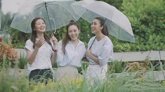 TVB|TVB花旦首条自导慈善短片点击破11万，不惧TVB冷待谋定后路酝酿新计划