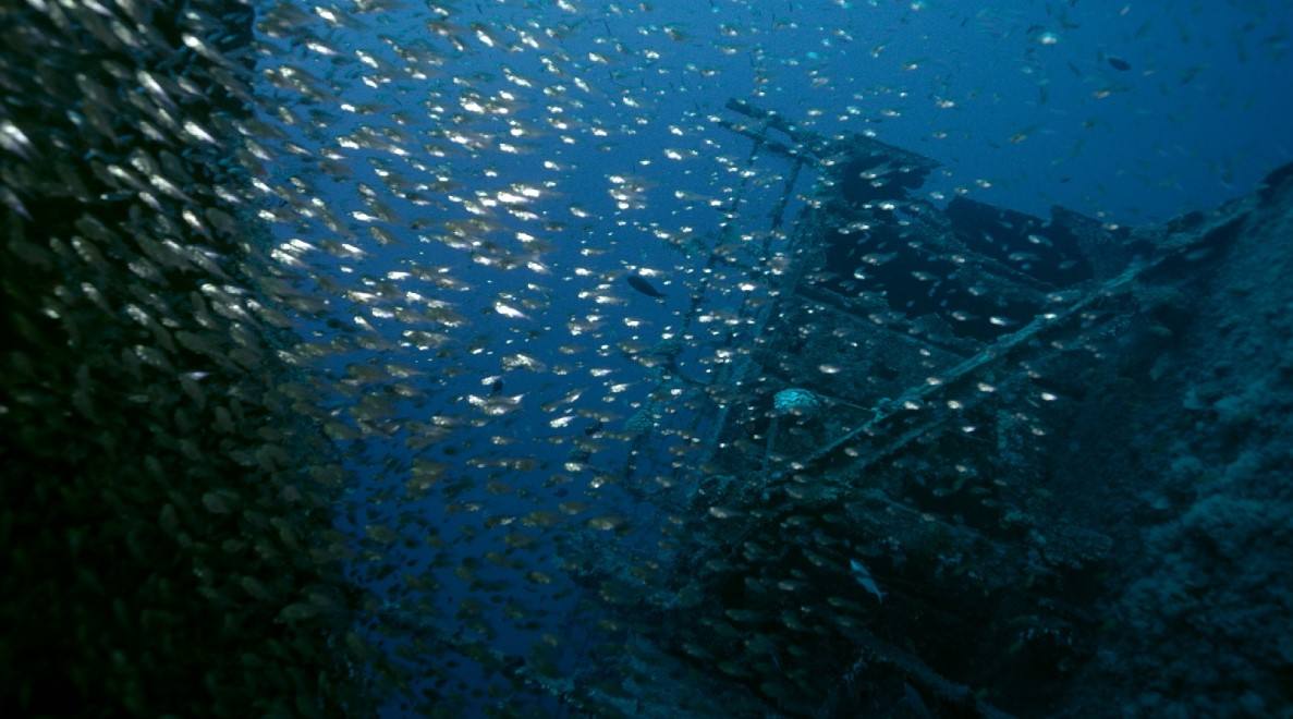 机器人|软机器人是气动、化学、机械、液压和电气部件的复杂混合体