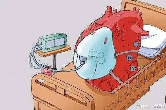 中药|心衰高发期,教你科学进行居家管理!